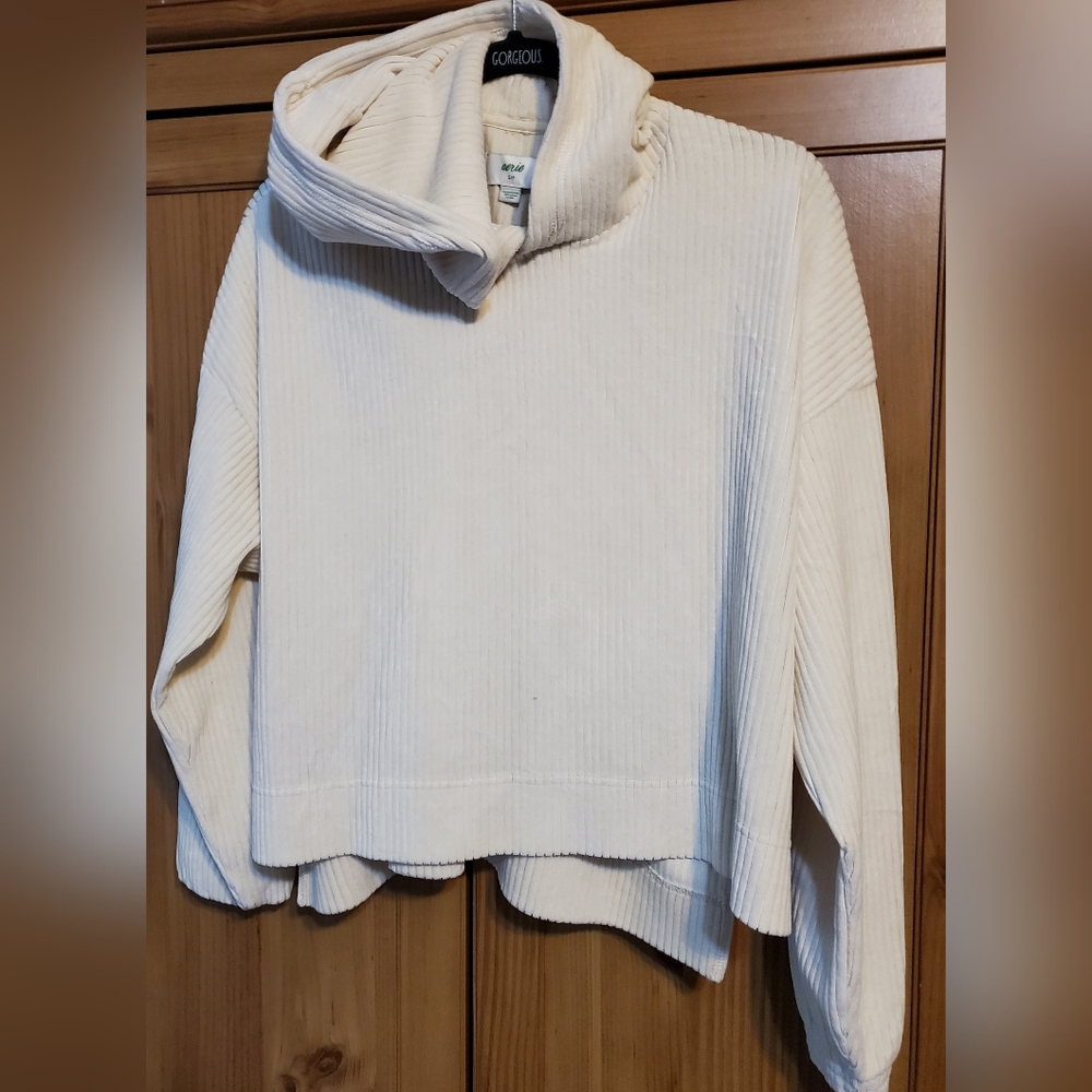 Aerie Cream Hooded Sweater